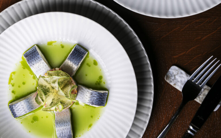 Kolekcja Daisy - Zdjęcie 1